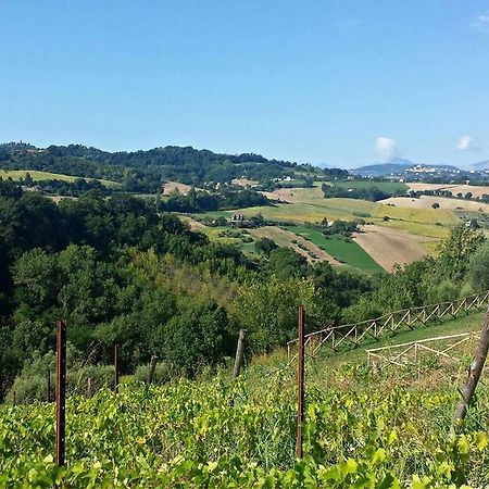 Sant'Elpidio Morico Biancopecoraヴィラ エクステリア 写真