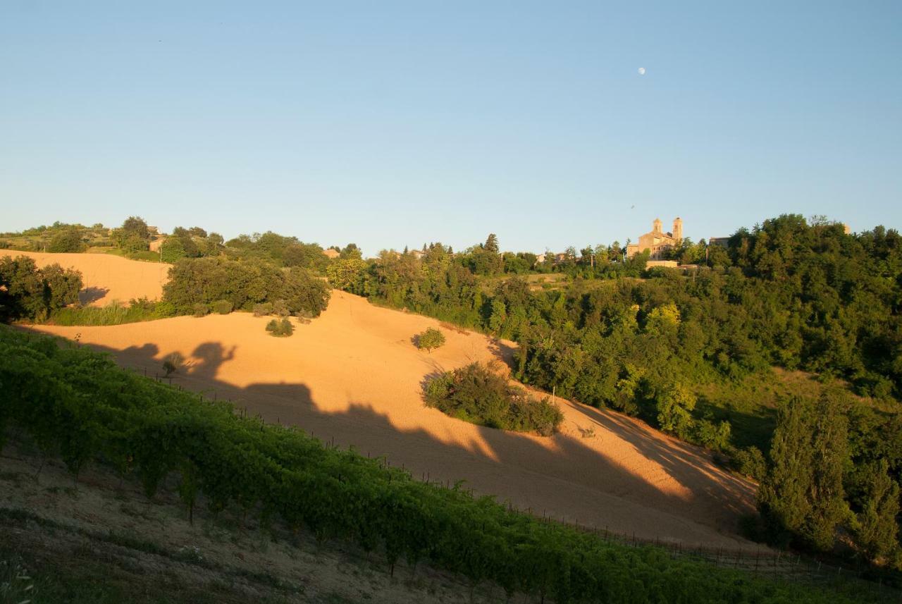 Sant'Elpidio Morico Biancopecoraヴィラ エクステリア 写真