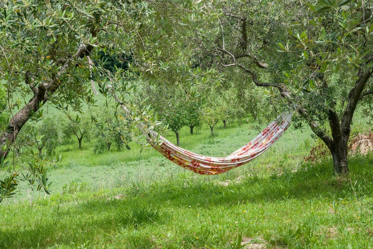 Sant'Elpidio Morico Biancopecoraヴィラ エクステリア 写真